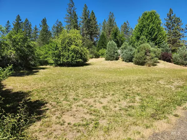 Kamiah, ID 83536,117 View Road