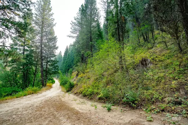 Boise, ID 83716,TBD Forestland