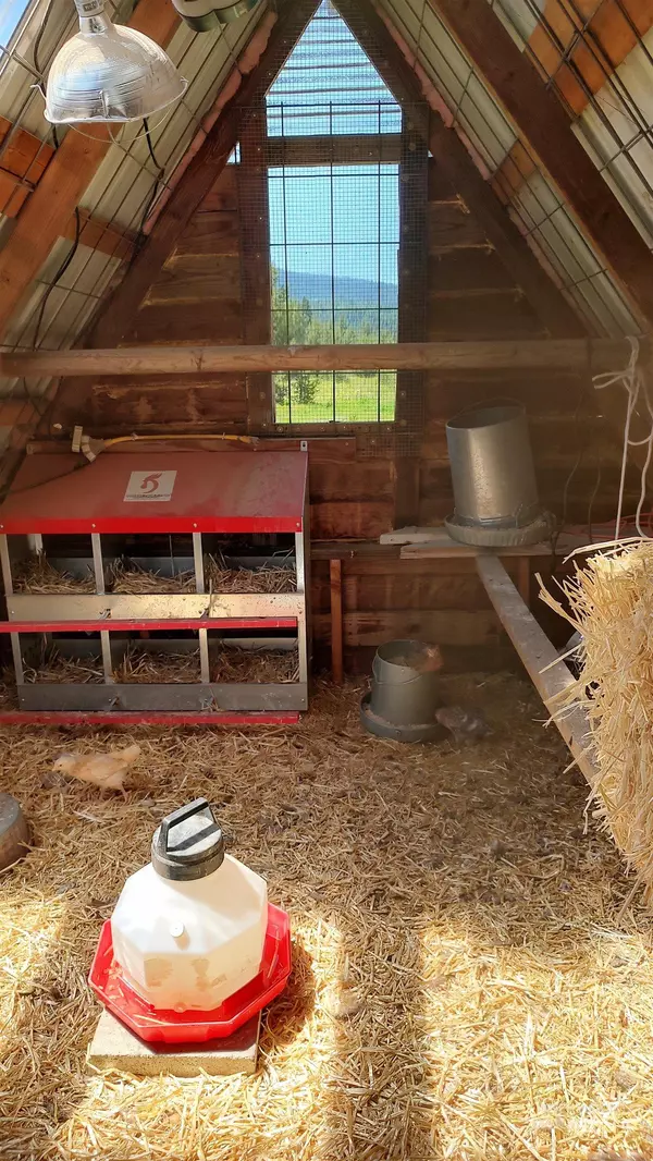 Elk City, ID 83525,281 Upper Maxwell Lane