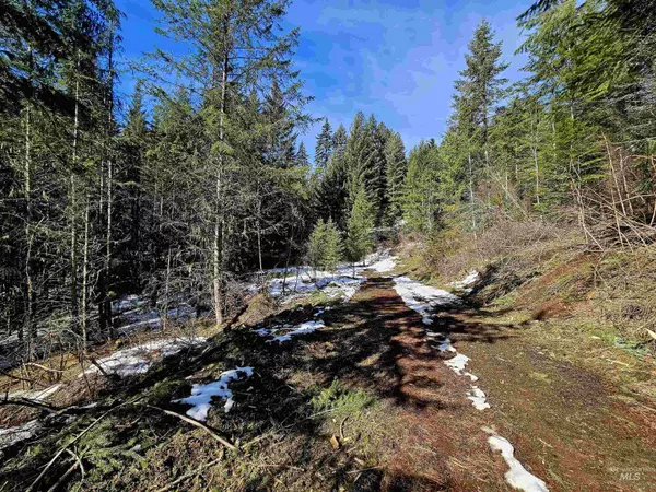 Lenore, ID 83541,TBD Freeman Creek Rd