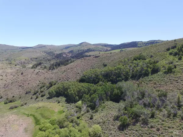 Marsing, ID 83650,2015 Cow Creek Rd.