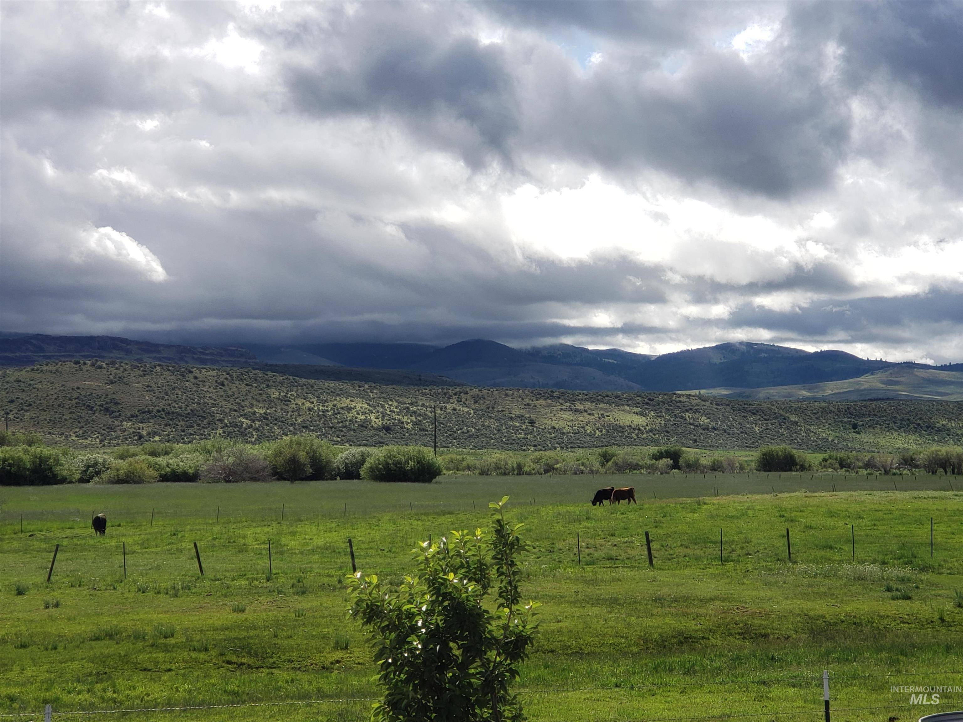 2015 Cow Creek Rd., Marsing, ID 83650