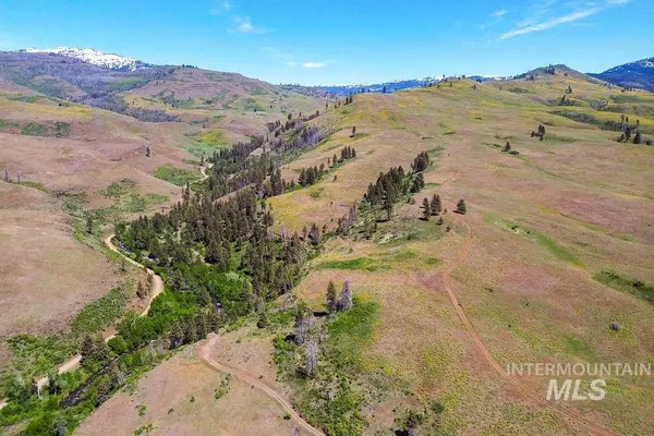Council, ID 83612,255 ac Fall Creek Road