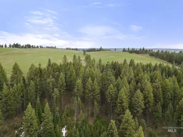 Cottonwood, ID 83522,TBD Rieman Rd