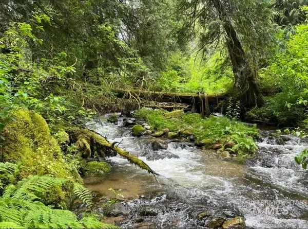 Kooskia, ID 83539,137 Swiftwater Road