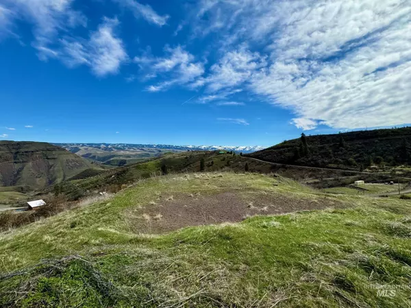 White Bird, ID 83554,Lot 127 Bucks Blvd