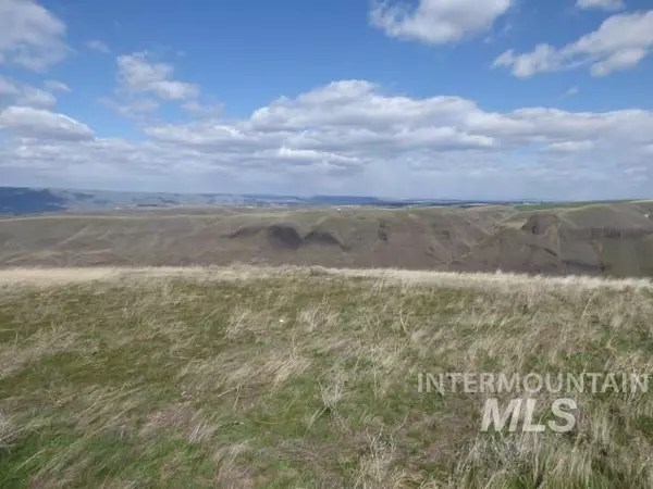 Asotin, WA 99402,Lot E Sunglow Ct, Perro Pt