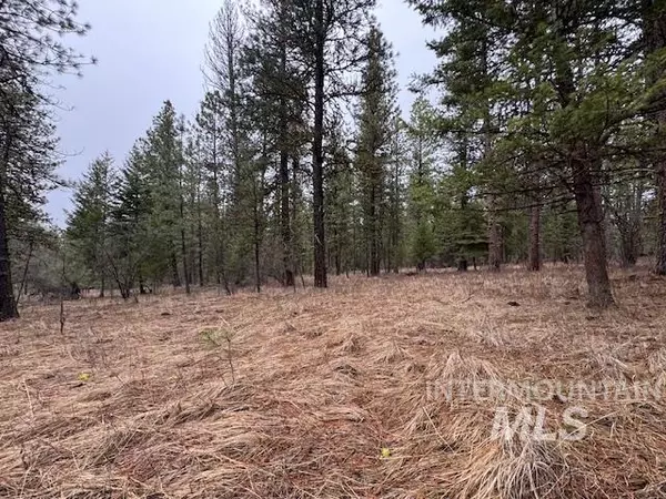 Anatone, WA 99401,30 Acres Anatone