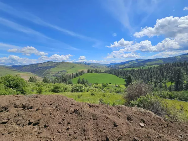 Lenore, ID 83541,TBD Arabian Lane Lots 2,4,5