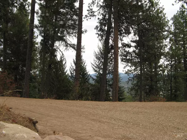 Garden Valley, ID 83622,Lot 4 Rita Lane