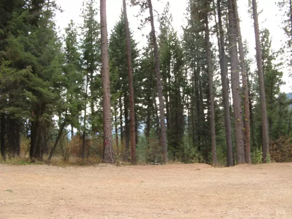 Garden Valley, ID 83622,Lot 4 Rita Lane