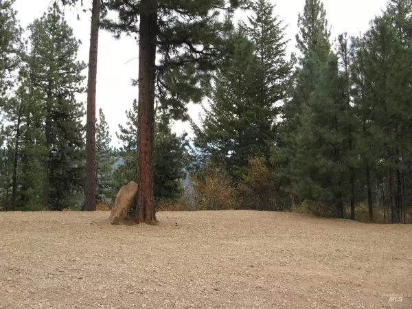 Garden Valley, ID 83622,Lot 4 Rita Lane