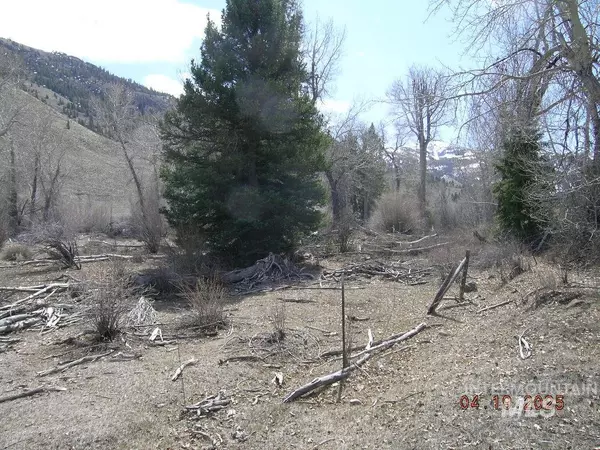 Clayton, ID 83227,TBD East Fork Rd