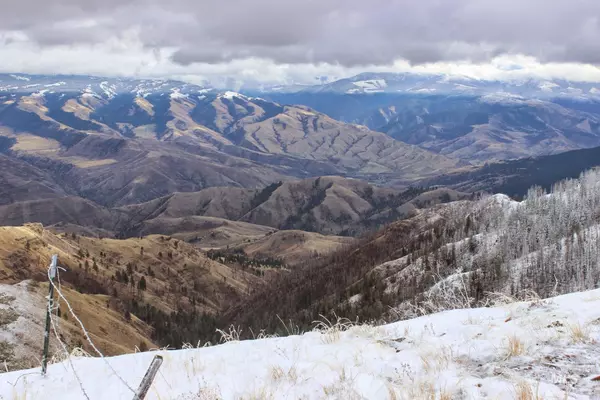 478 Deer Gulch Rd, Cottonwood, ID 83522