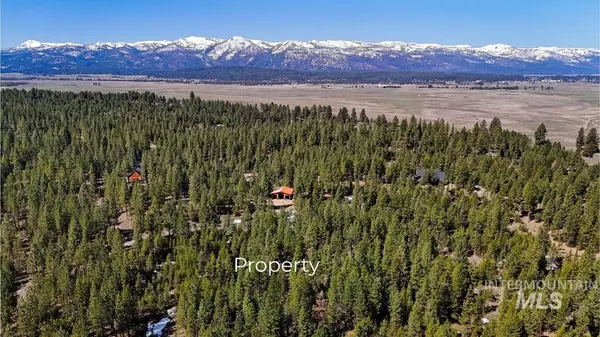 L19 Silver Cloud Drive, Cascade, ID 83611