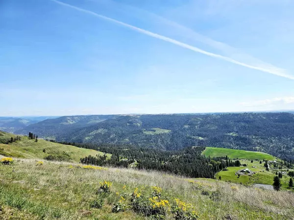 Lenore, ID 83541,392 Vista View Dr