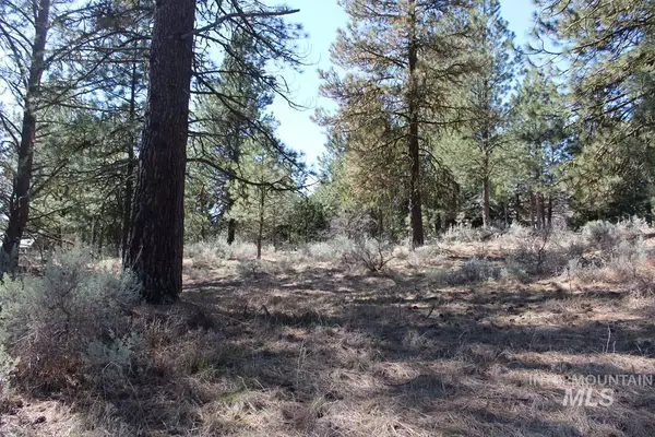 Cascade, ID 83611,1494 Pine Ridge Drive