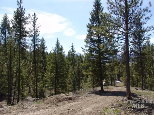 Cascade, ID 83611,25 San Ignacio Way