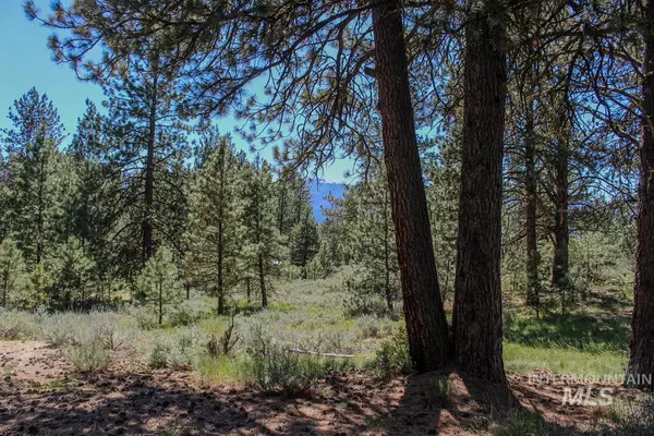 Cascade, ID 83611,14 Pelican Place