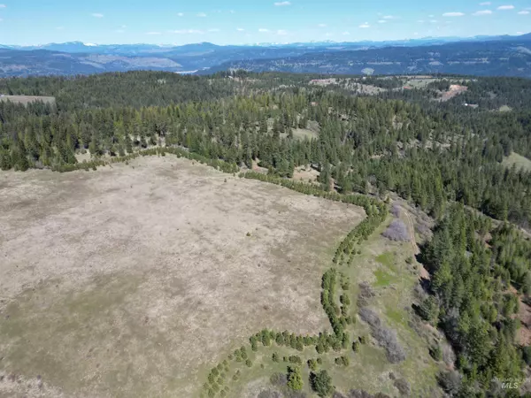 Lenore, ID 83541,0 Barley Drive