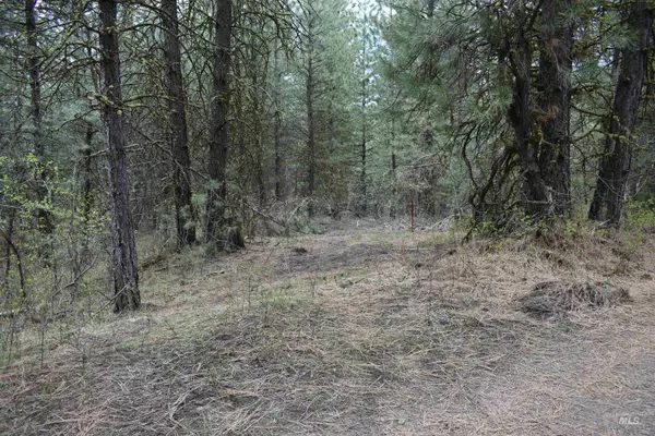TBD Outlaw Trail, Banks, ID 83602