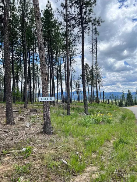 Lot 05 Pine Grove, Garden Valley, ID 83622