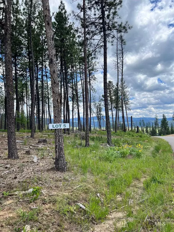 Lot 05 Pine Grove, Garden Valley, ID 83622