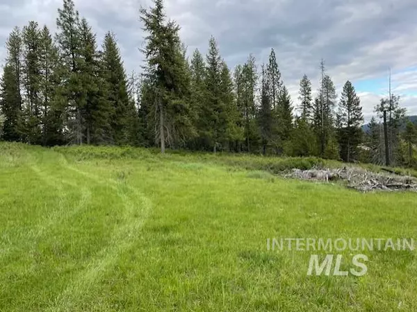 Santa, ID 83861,NKA Tyson Creek Road