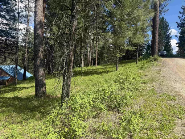 Garden Valley, ID 83622,TBD Mustang Way