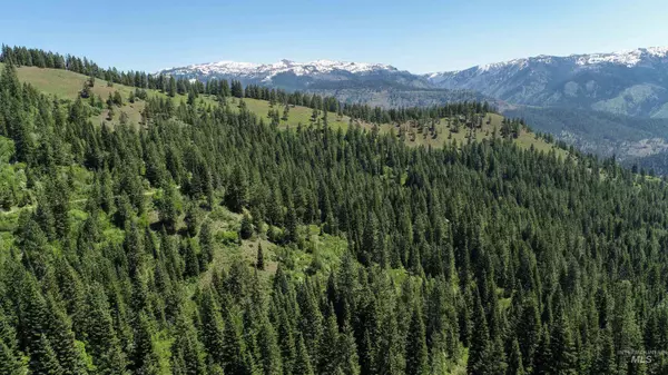 New Meadows, ID 83654,TBD 20 Acres Hillman Basin Rd