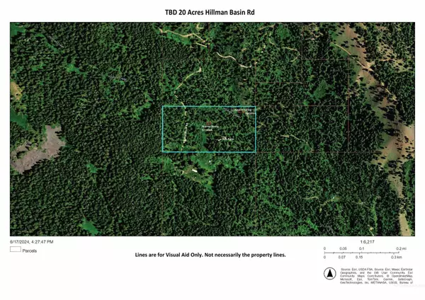 New Meadows, ID 83654,TBD 20 Acres Hillman Basin Rd