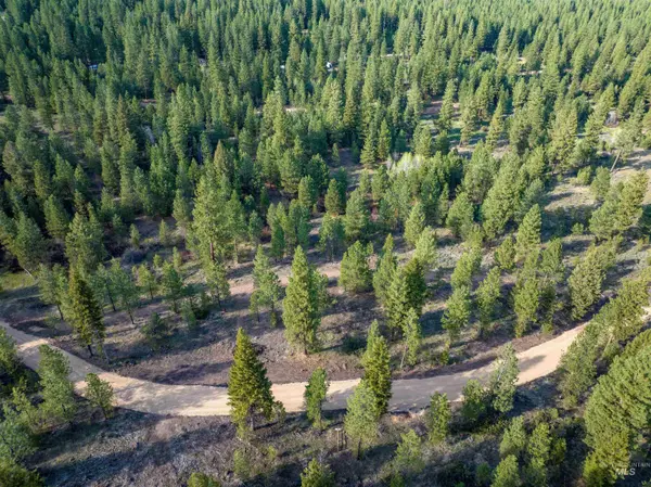 Placerville, ID 83666,Lot 31 Trail Creek Ct