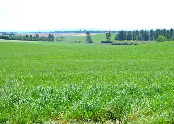 TBD Stuart Rd., Orofino, ID 83544