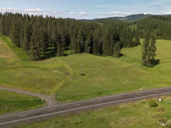 Deary, ID 83823,000 Hwy 9 (Parcel 3)