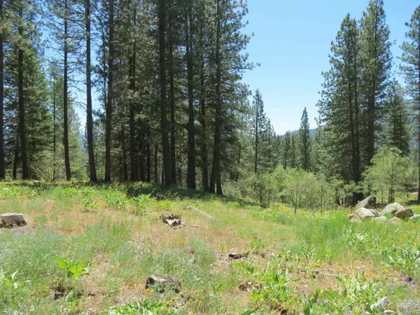 Garden Valley, ID 83622,Lot 83 White Pine Dr