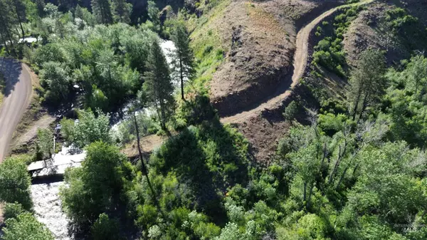 Council, ID 83612,Lot 5 Middle Fork Rd