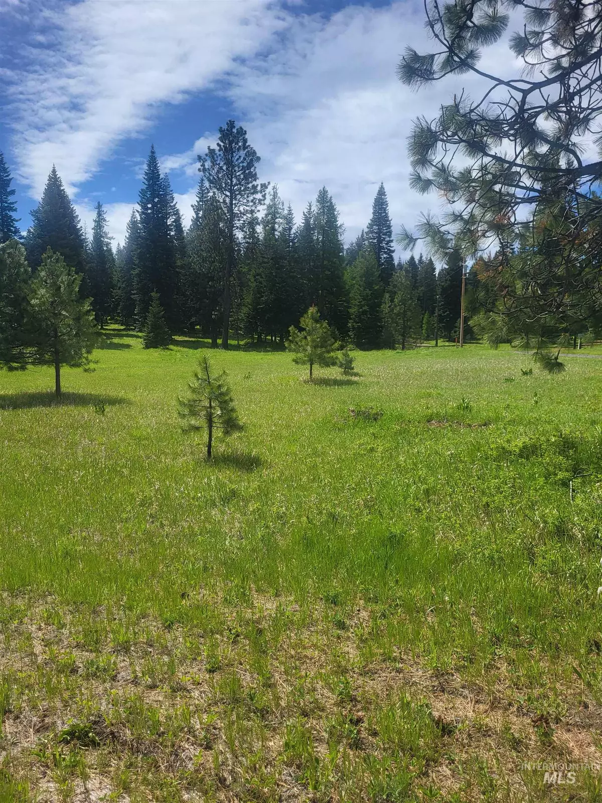 Anatone, WA 99401,731 Heathman Road