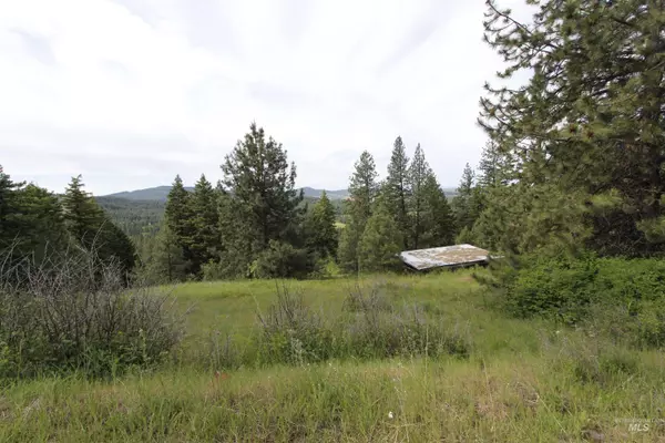 Kendrick, ID 83537,TBD Smokey Bear Ln