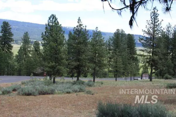 New Meadows, ID 83654,Lot 8 Camas Dr.