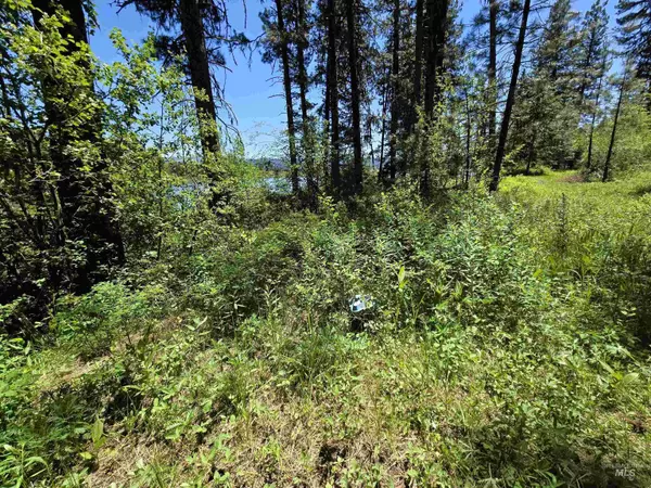 High Valley, ID 83657,Lot 5 Hatchet