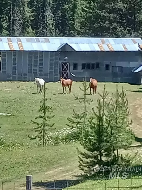 Weippe, ID 83553,22848 Hwy 11