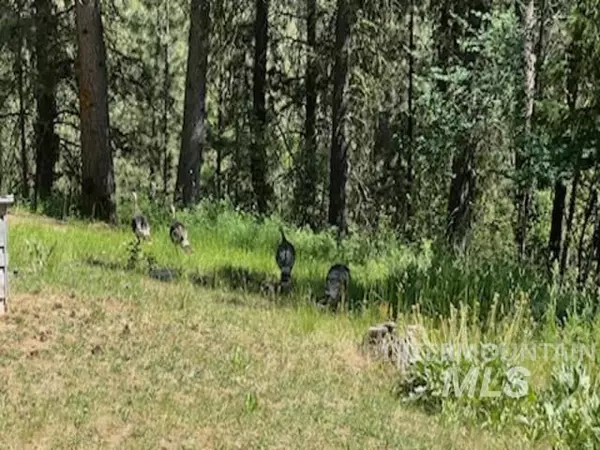 Garden Valley, ID 83622,73 Rainbow Ridge