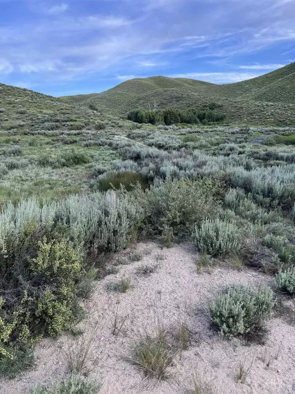 Fairfield, ID 83327,TBD Lot 19 Blk 2 Fairway Estates