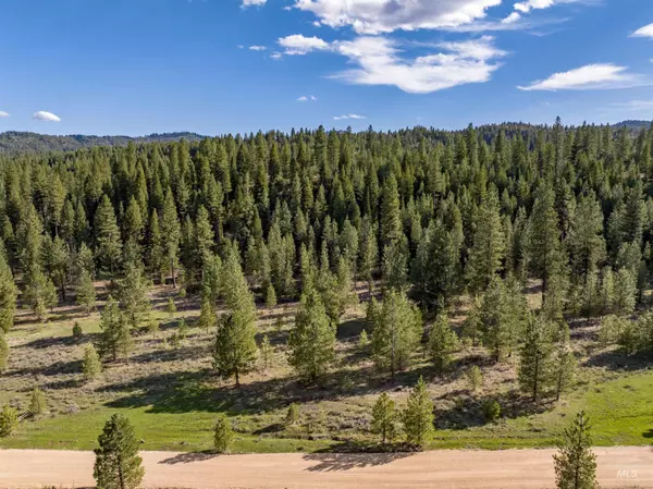 Placerville, ID 83666,Lot 20 Trail Creek Ct