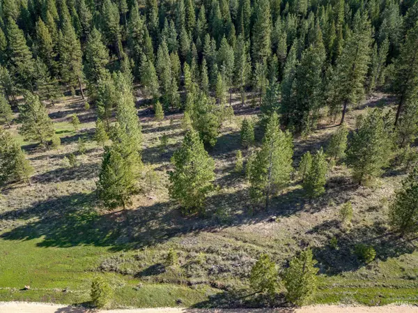 Placerville, ID 83666,Lot 20 Trail Creek Ct