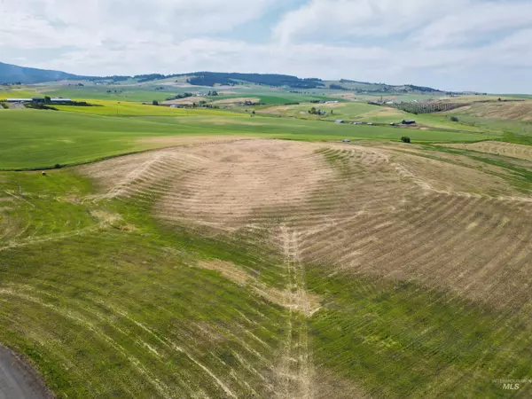 Cottonwood, ID 83522,136 Seubert Heights Drive