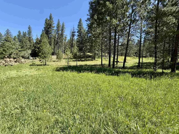Cascade, ID 83611,93 E Prospectors