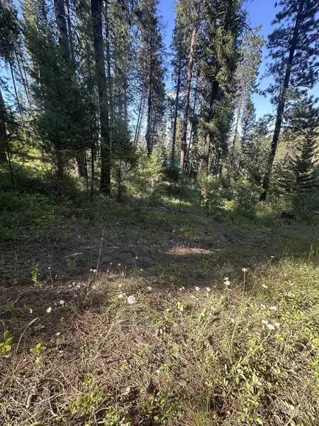 Terrace Lakes 5 Blk 5 Lot 10, Garden Valley, ID 83622