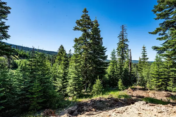 Elk City, ID 83525,TBD Parcel 1 Phase 3 Tree Farm Trails