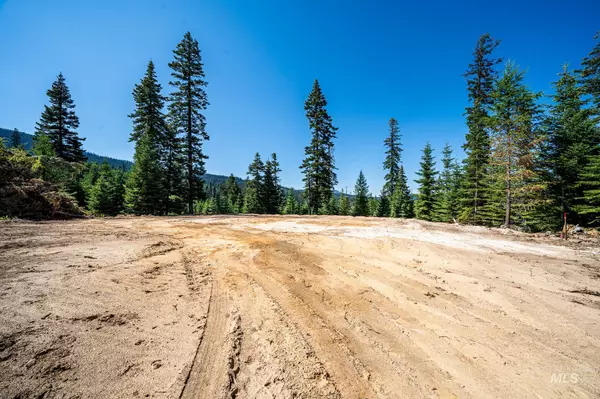 Elk City, ID 83525,TBD Parcel 1 Phase 3 Tree Farm Trails